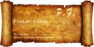 Pintér Fülöp névjegykártya